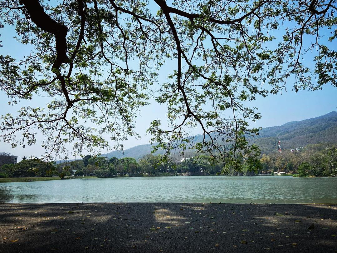 Campus