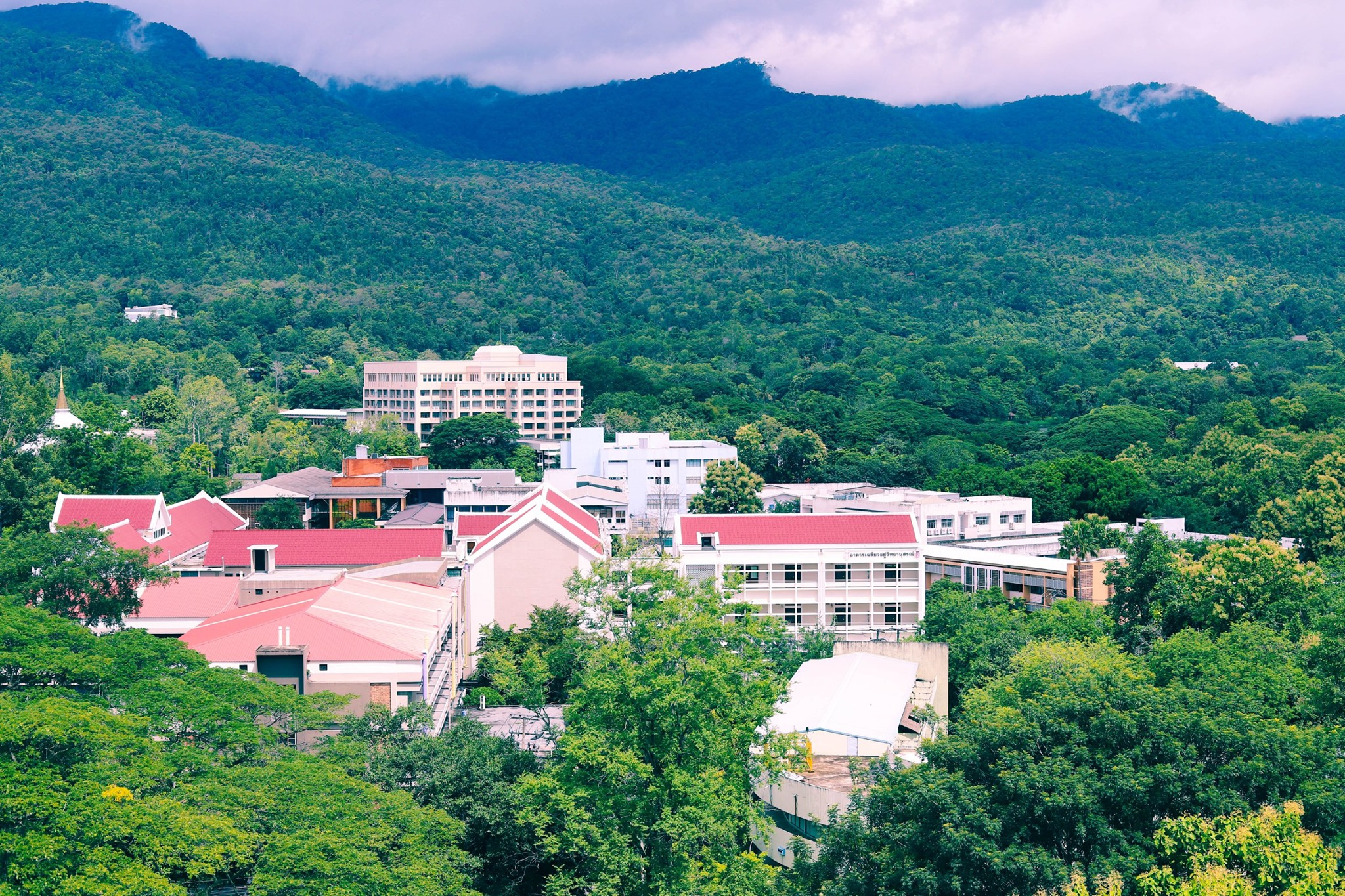 Faculty